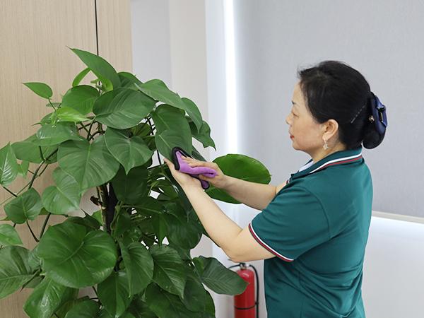 辦公室保潔主要做些什么？